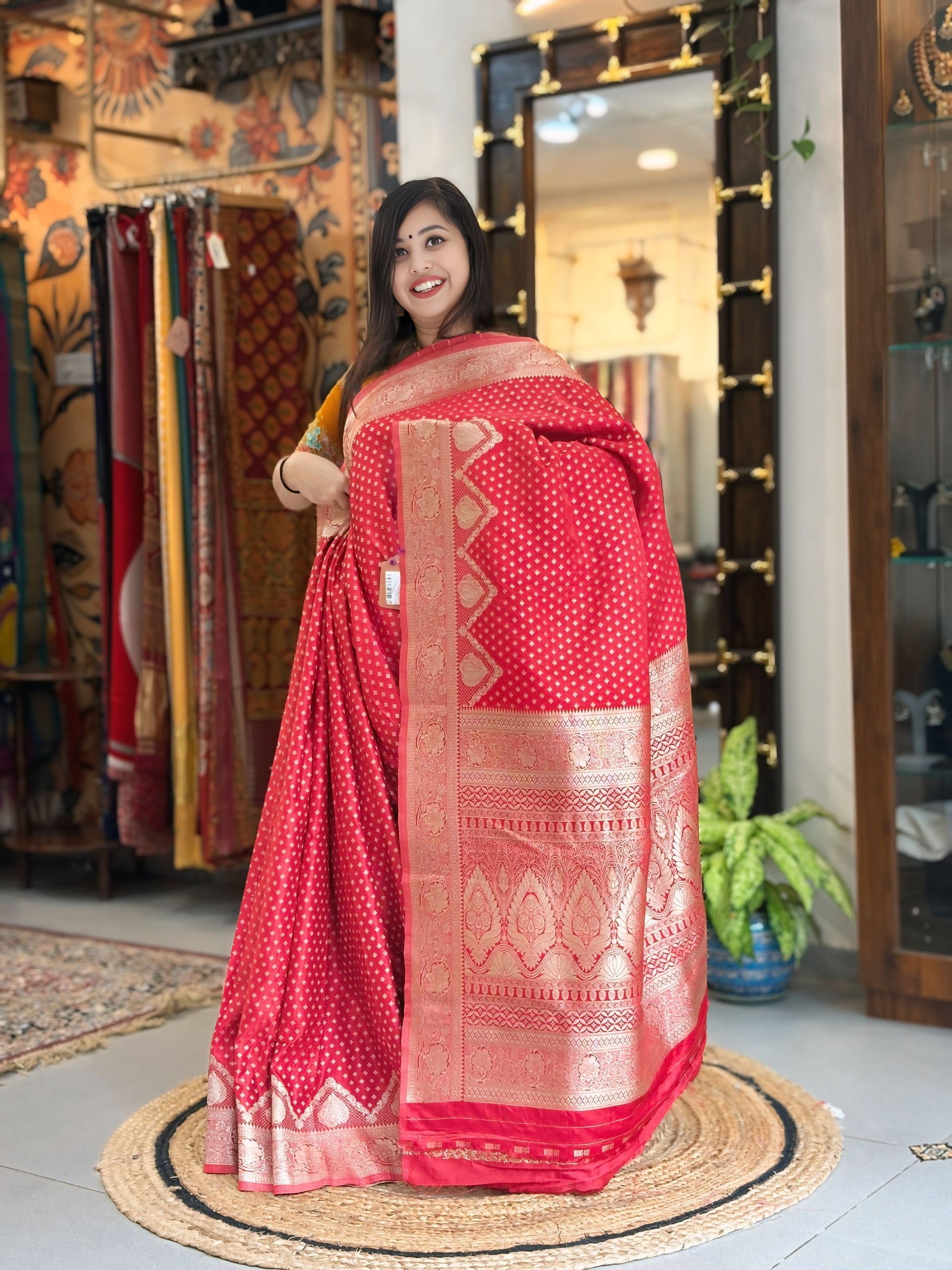 Rajnandini - Mashroo Silk
